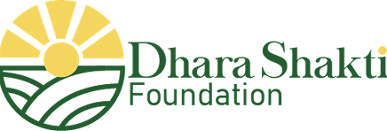 DSF